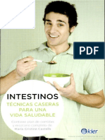 Intestinos-tecnicas-caseras-para-una-vida-saludable-nestor-palmetti.pdf