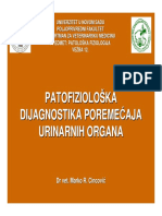 12 Patofizioloska Dijagnostika Poremecaja Urinarnih Organa