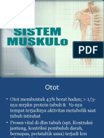 Sistem Muskuler