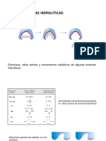 Enzimas Hidrolíticas PDF