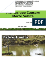 AULA CERTAmorte Subita