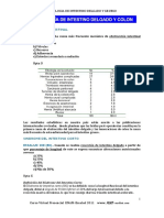 INT GRUESO Y DELGADO ENAM Y EsSalud (1).pdf