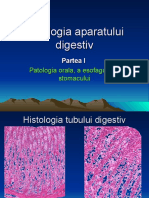 Curs 3 Patologia Aparatului Digestiv I