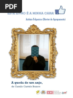 Este livro é a minha cara