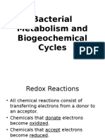 Metabolism and Biogeochemistry