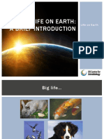 Life On Earth A Brief Introduction