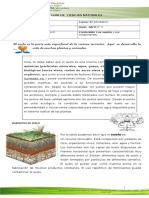 6 B Guía 3 ABRIL C NATURALES Repaso Suelo 8 de Abril