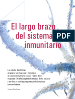 El Largo Brazo Del Sistema Inmune