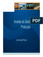 Declínio.pdf