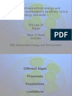A Study Into the Cultivation of Algae - Presentation - 2008