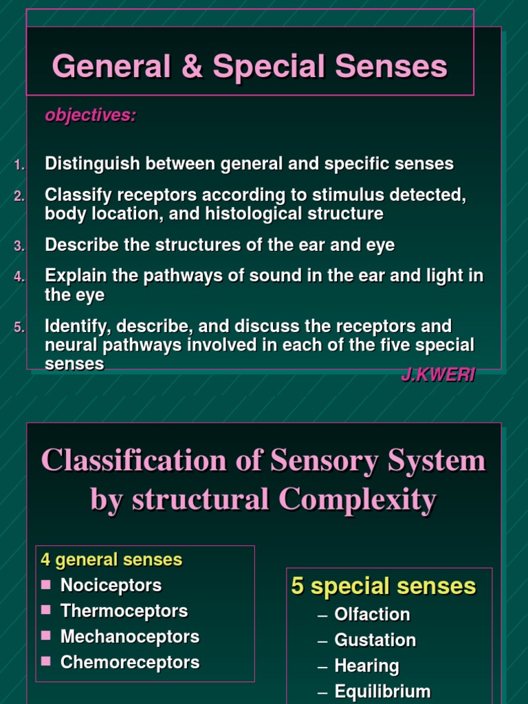 Sensory Receptors General And Sepical Pdf Human Eye Retina