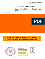 Animal Cell in High Water Potential Solution