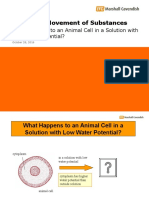 Animal Cell in Low Water Potential Solution