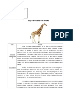 Report Text About Giraffe