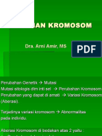 Kelainan Kromosom