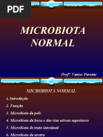 Microbiota Normal