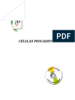 CELULAS PROCARIOTAS (1).pdf