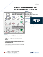 Buffington SA Et Al (2016) - Microbial Reconstitution Reverses Maternal Diet-Induced Social and Synaptic Deficits in Offspring. Cell