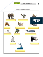 Repaso de los Animales.pdf