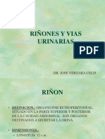 Clase V-1a - Anatomia de Riñon y Vias Urinarias