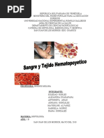 Download Sangre y Tejido Hematopoyetico - Copia 2 by Sole Robles SN32924896 doc pdf