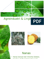 Agroindustri & Lingkungan Nanas