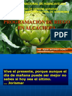 Programación de riego en cultivo de alcachofa