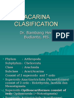 Acarina Clasification