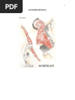 Anatomia Humana Mªgermana 2008