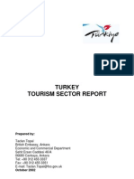 Turkey Tourism Report by British Embassy