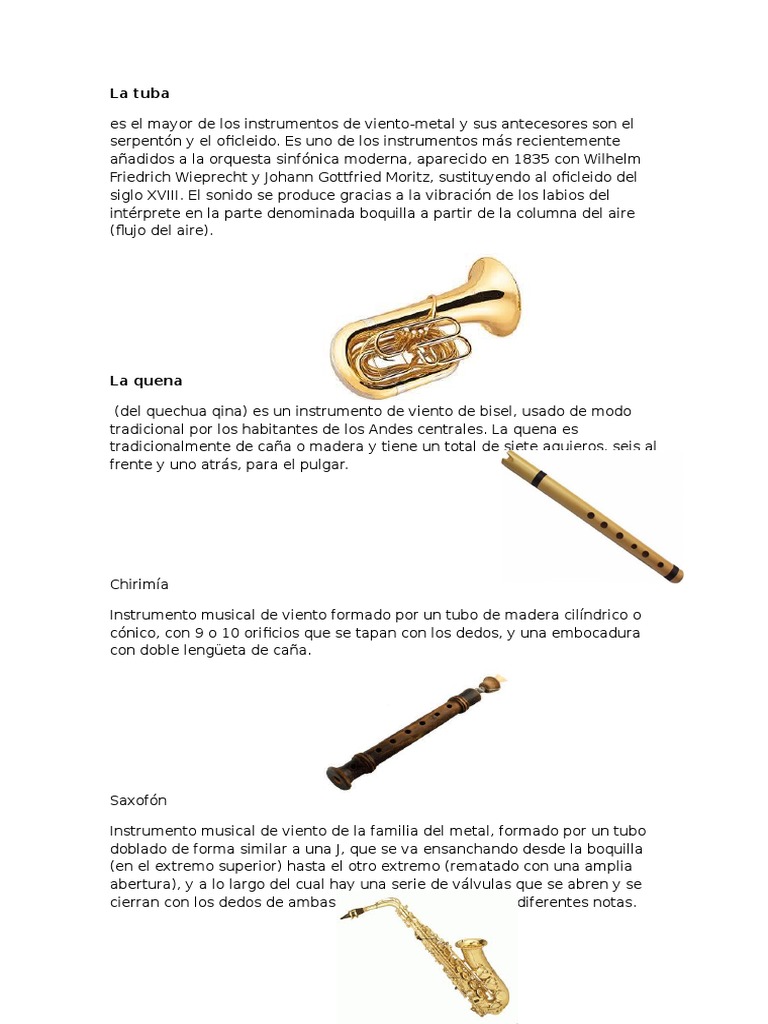 Instrumentos Con Definicion Organologia Instrumentos musicales