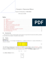 Matrices Conceptos y Operaciones Básicas PDF