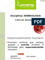 Aula 2. Introdução a Embriologia Humana