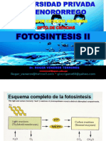 Fotosiintesis II 2012-C
