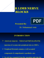 Lower Limb Nerve Blocks_Dr. Asim