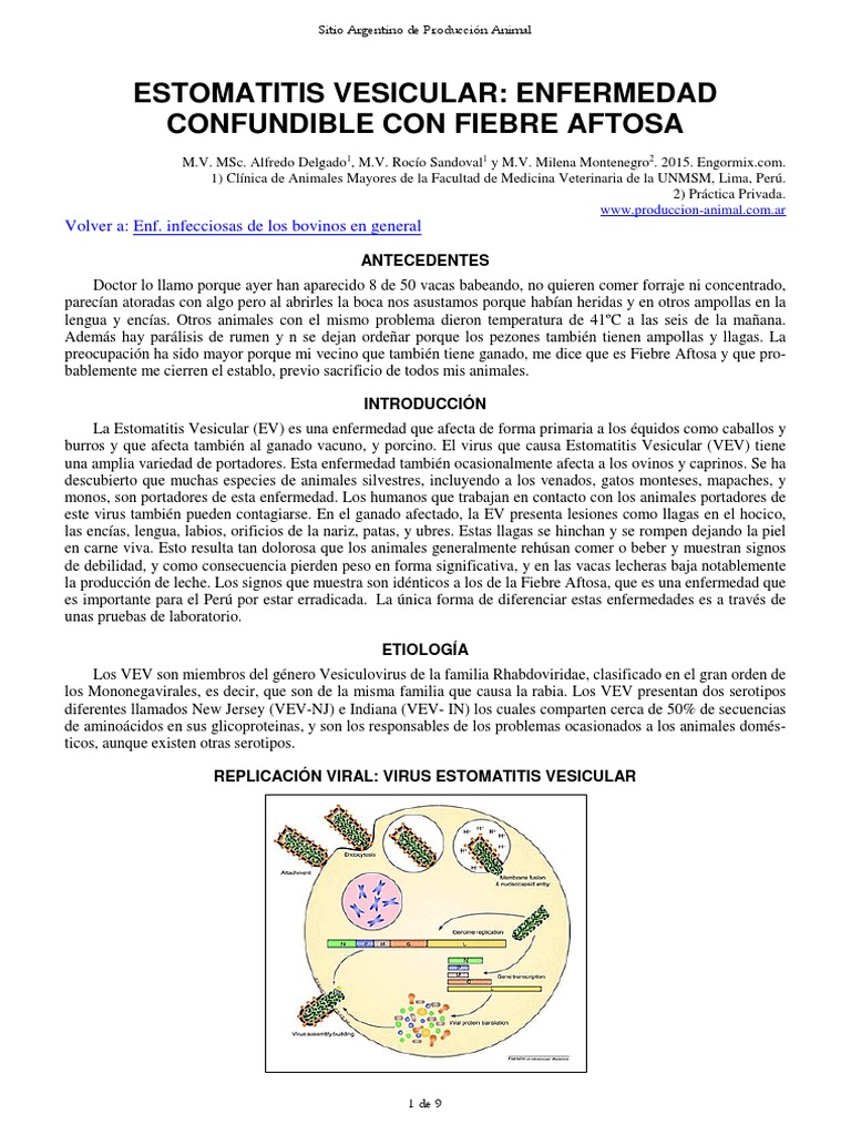 Estomatitis Vesicular Virus Vacas
