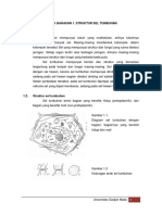 Struktur Sel Tumbuhan PDF