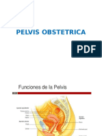 Pelvis Obstetrica