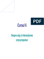 Curs - 6 - Despre Siaj (Compatibility Mode) PDF