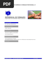 81402 Agente Em Geriatria