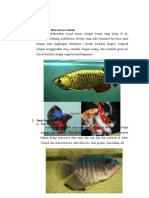 Download Pengertian Ikan Secara Umum by Didik Ariyana SN329317321 doc pdf