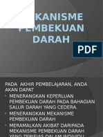 Mekanisme Pembekuan Darah