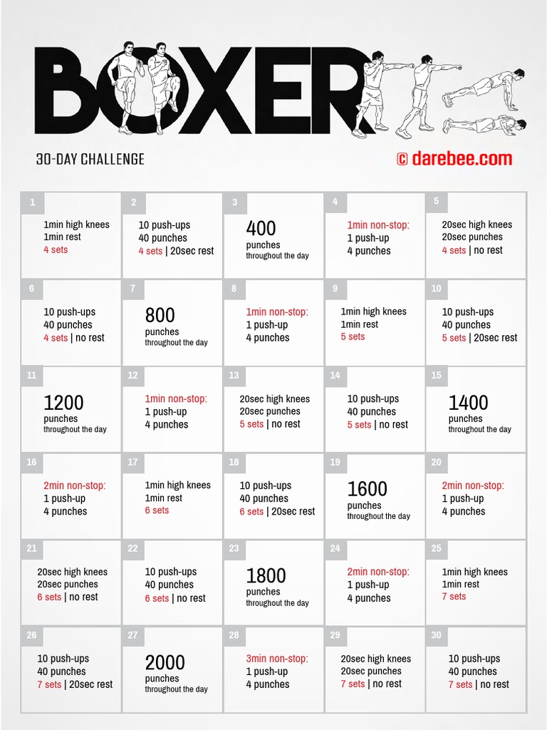 Boxing Calisthenics Workout Plan | PDF | Home & Garden | Wellness
