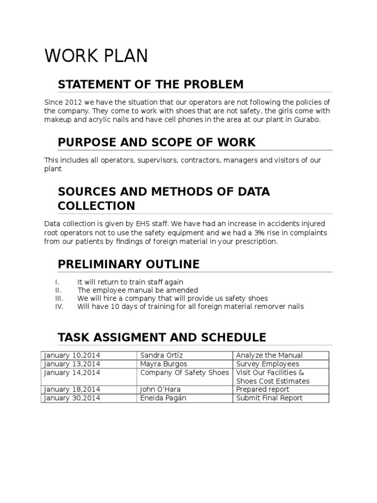 Work Plan: Statement of The Problem | PDF | Business