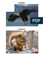 Animales Con La Letra A