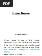 Ulnar Nerve