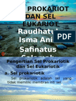 Biologi Sel Prokariot Dan Sel Eukariot