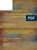 1.2 Los Hongos Su Funcionalidad en Agricultura (Tello)