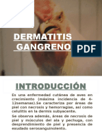 Dermatitis gangrenosa.ppt