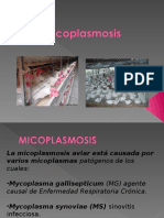 micoplasma_aves_2011.ppt